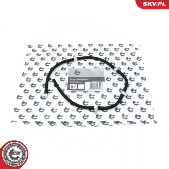 Tuyau, carburant de fuite ESEN SKV 54SKV364
