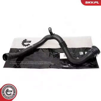 Gaine de suralimentation ESEN SKV