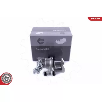 Étrier de frein arrière gauche ESEN SKV