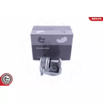 Étrier de frein arrière droit ESEN SKV 55SKV374