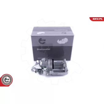 Étrier de frein arrière gauche ESEN SKV