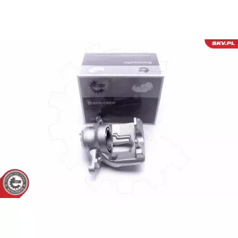 Étrier de frein avant droit ESEN SKV