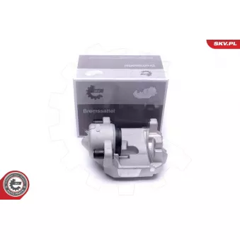 Étrier de frein ESEN SKV 56SKV291