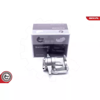 Étrier de frein ESEN SKV