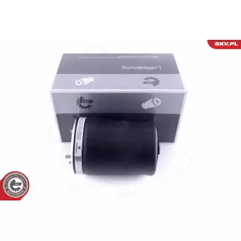 Ressort pneumatique, châssis arrière droit ESEN SKV 58SKV002