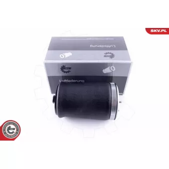 Ressort pneumatique, châssis arrière gauche ESEN SKV 58SKV003