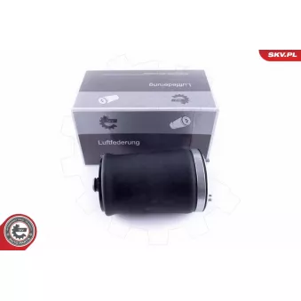 Ressort pneumatique, châssis arrière droit ESEN SKV 58SKV004