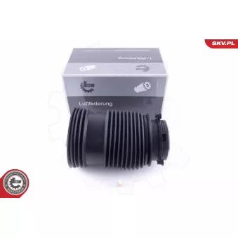 Ressort pneumatique, châssis arrière droit ESEN SKV 58SKV008