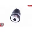 Ressort pneumatique, châssis arrière droit ESEN SKV 58SKV008 - Visuel 2