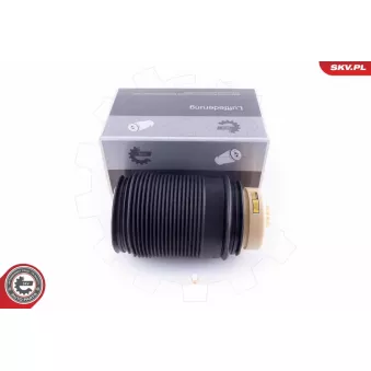 Ressort pneumatique, châssis arrière gauche ESEN SKV