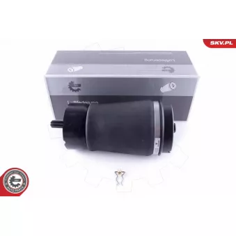 Ressort pneumatique, châssis ESEN SKV 58SKV013