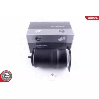 Ressort pneumatique, châssis ESEN SKV 58SKV014