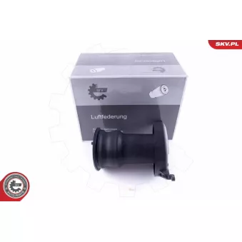 Ressort pneumatique, châssis ESEN SKV 58SKV015