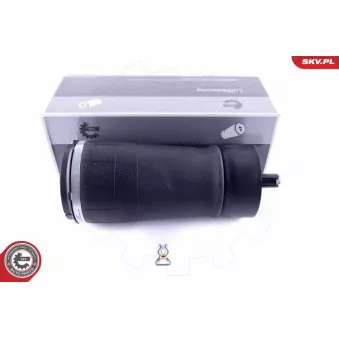 Ressort pneumatique, châssis ESEN SKV 58SKV016