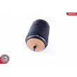 Ressort pneumatique, châssis arrière droit ESEN SKV 58SKV018 - Visuel 2