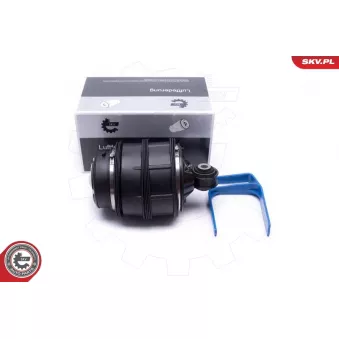 Ressort pneumatique, châssis ESEN SKV 58SKV019