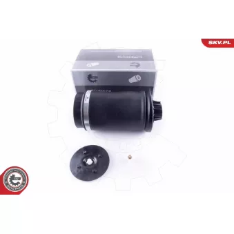 Ressort pneumatique, châssis ESEN SKV 58SKV020