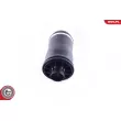 Ressort pneumatique, châssis ESEN SKV 58SKV020 - Visuel 3