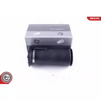 Ressort pneumatique, châssis ESEN SKV 58SKV021