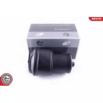 Ressort pneumatique, châssis ESEN SKV 58SKV022