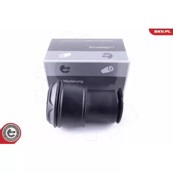 Ressort pneumatique, châssis ESEN SKV 58SKV023