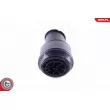 Ressort pneumatique, châssis ESEN SKV 58SKV023 - Visuel 2