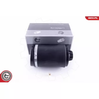 Ressort pneumatique, châssis ESEN SKV 58SKV027