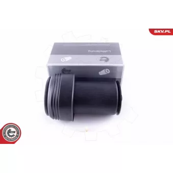 Ressort pneumatique, châssis ESEN SKV 58SKV028