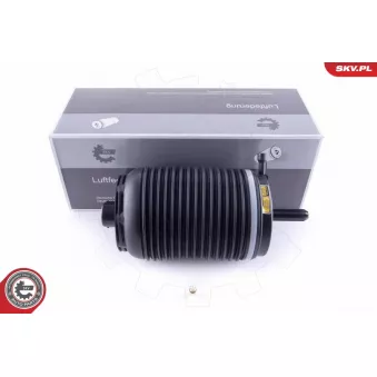 Ressort pneumatique, châssis arrière droit ESEN SKV 58SKV031