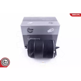 Ressort pneumatique, châssis arrière droit ESEN SKV 58SKV033