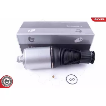 Ressort pneumatique, châssis avant droit ESEN SKV 58SKV034