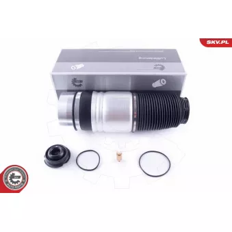 Ressort pneumatique, châssis ESEN SKV 58SKV035