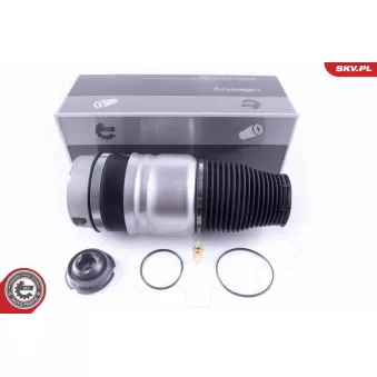 Ressort pneumatique, châssis avant droit ESEN SKV 58SKV037