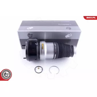 Ressort pneumatique, châssis ESEN SKV 58SKV038