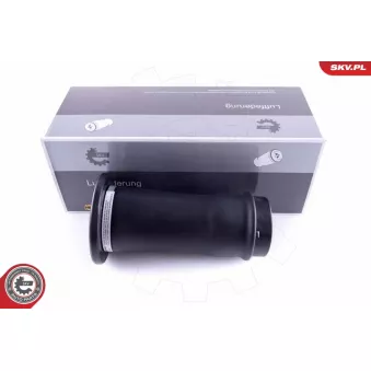 Ressort pneumatique, châssis ESEN SKV 58SKV039