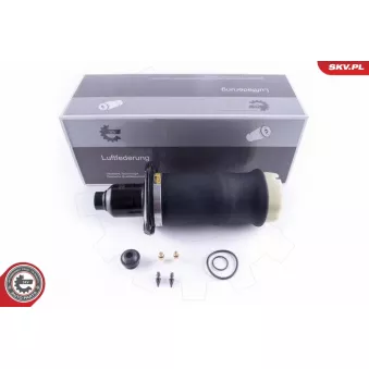 Ressort pneumatique, châssis ESEN SKV 58SKV041