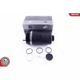 Ressort pneumatique, châssis ESEN SKV 58SKV042