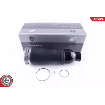 Ressort pneumatique, châssis ESEN SKV 58SKV043