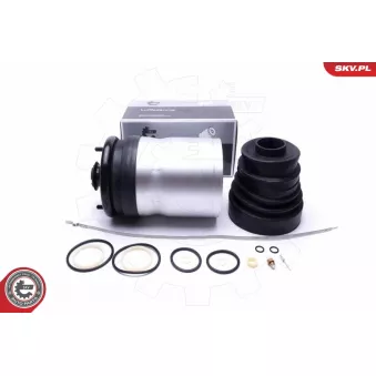 Armortisseur pneumatique ESEN SKV 58SKV059