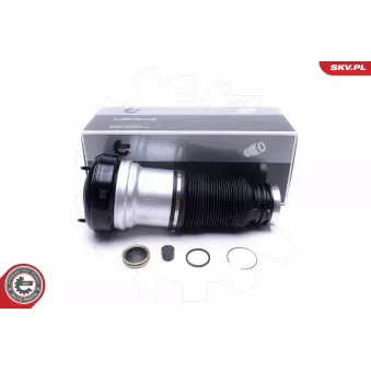 Armortisseur pneumatique ESEN SKV 58SKV065