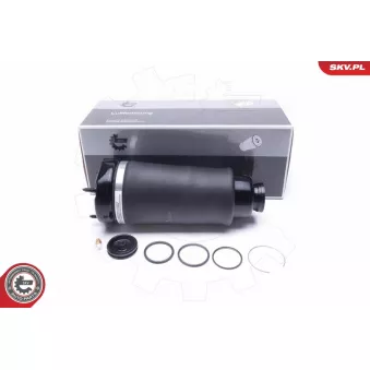Armortisseur pneumatique ESEN SKV 58SKV066