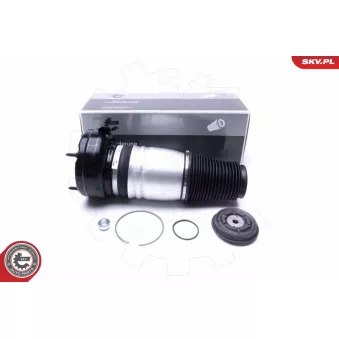 Armortisseur pneumatique ESEN SKV 58SKV069