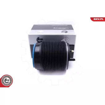 Ressort pneumatique, châssis arrière droit ESEN SKV 58SKV073