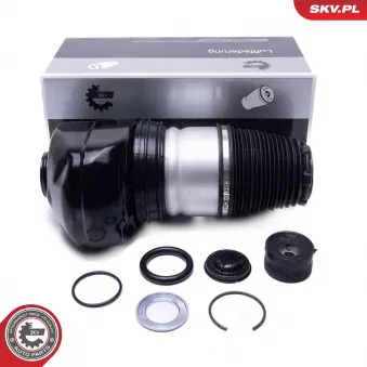 Ressort pneumatique, châssis ESEN SKV 58SKV093