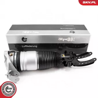 Armortisseur pneumatique ESEN SKV 58SKV703