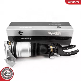 Armortisseur pneumatique ESEN SKV 58SKV704