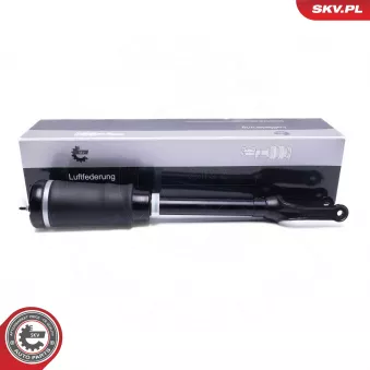 Armortisseur pneumatique ESEN SKV