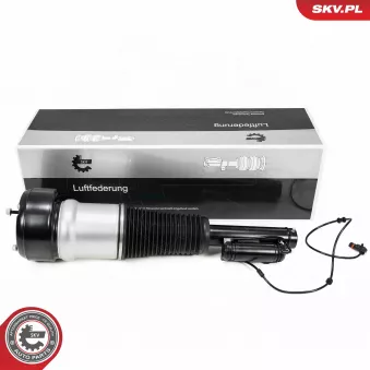 Armortisseur pneumatique ESEN SKV 58SKV720