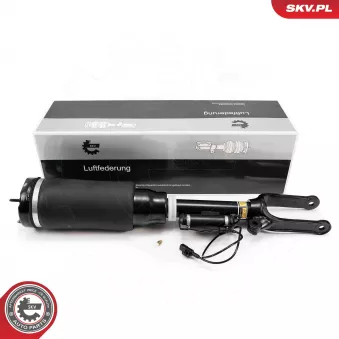 Armortisseur pneumatique ESEN SKV 58SKV723