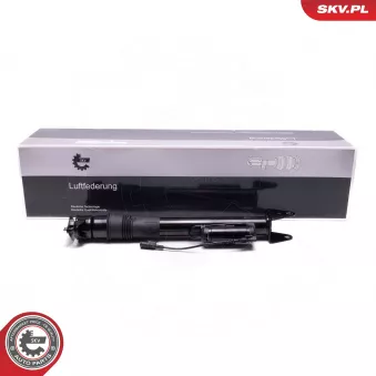 Armortisseur pneumatique ESEN SKV 58SKV724